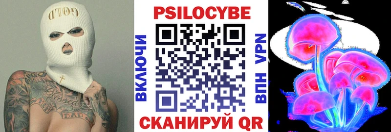 Псилоцибиновые грибы ЛСД  Купить закладки  Каргат 